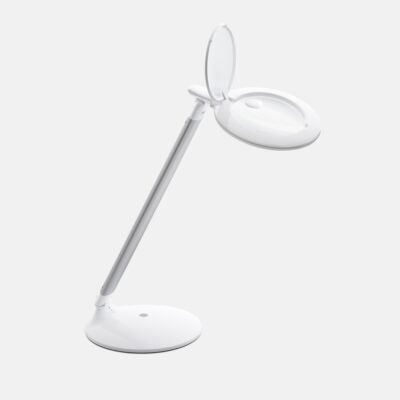 Portable magnifying light